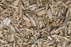 biomass boilers Trethillick
